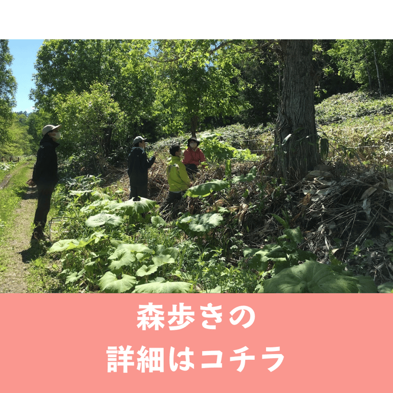 https://www.shimokawa-time.net/activity/moriaruki/