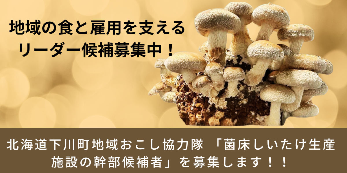 北海道下川町地域おこし協力隊 「菌床しいたけ生産施設の幹部候補者」を募集します!