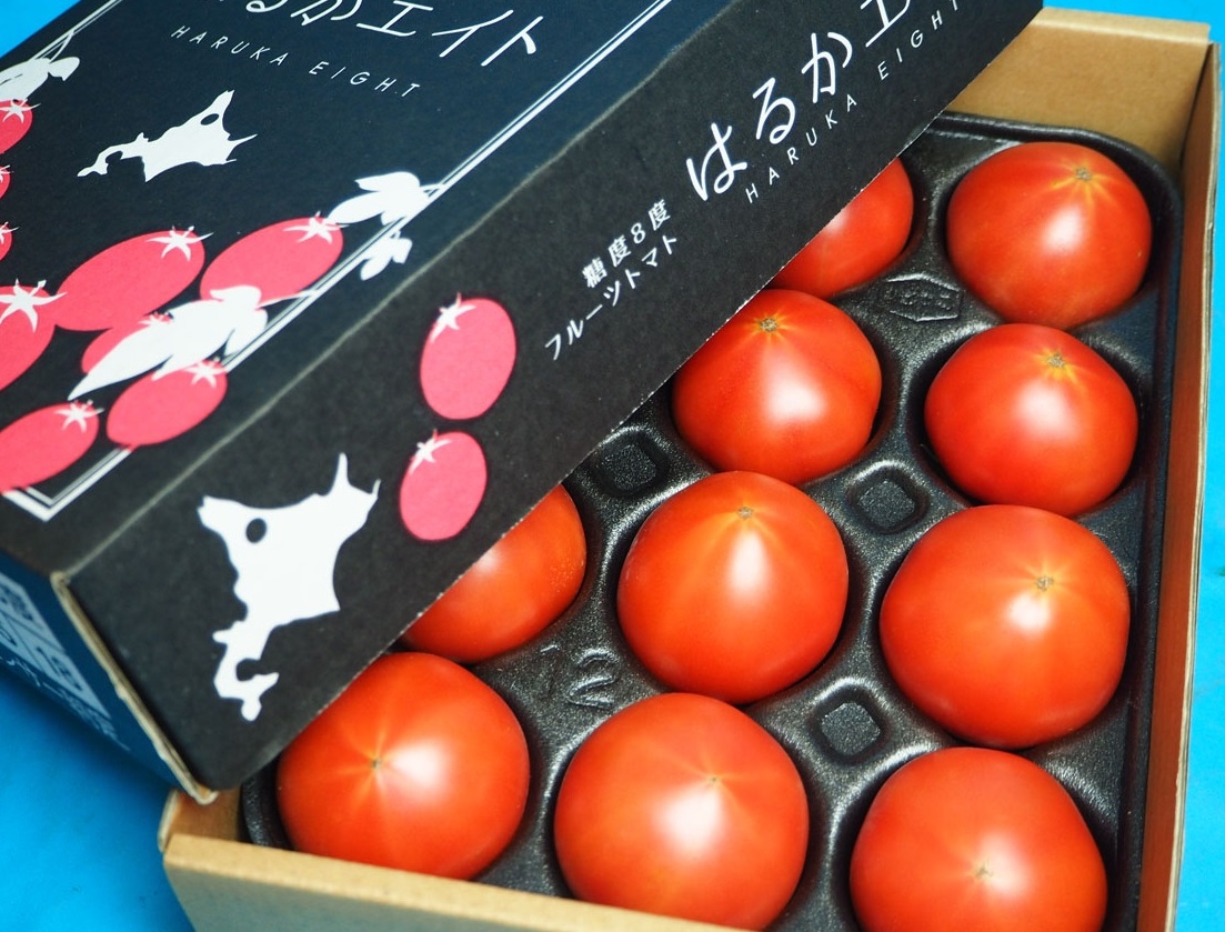 「はるかエイト」が生まれるまで——下川町フルーツトマト、産地16年の歩み