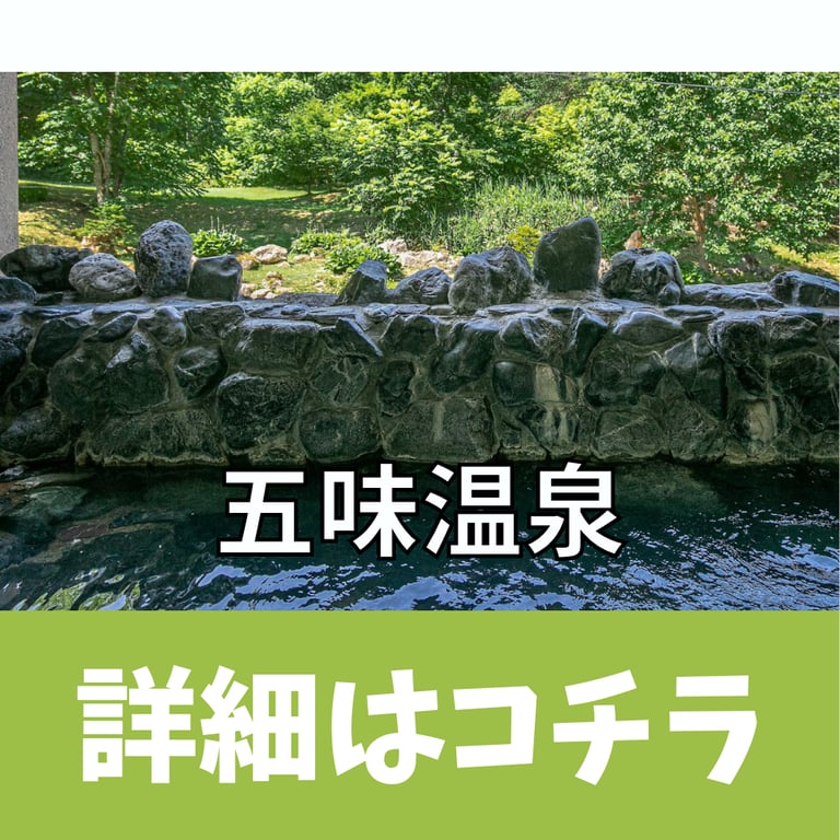 https://gomionsen.jp/