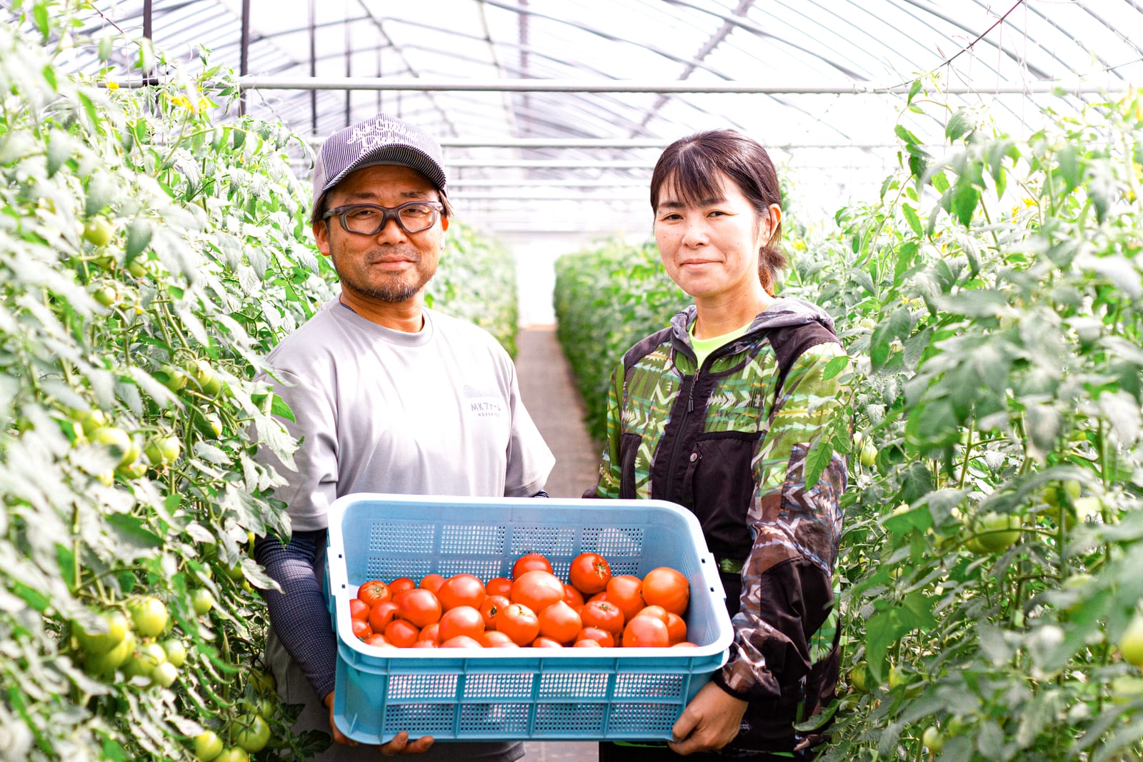 宝石のような一粒を——MKファーム北海道のフルーツトマト「プレシャス」